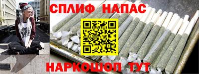 apvp Бийск